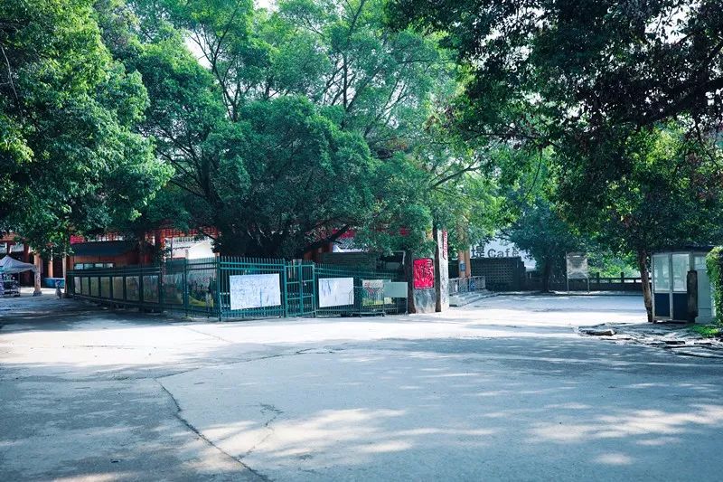 陽朔·芒果憶墅，用芒果記錄每一個美好瞬間