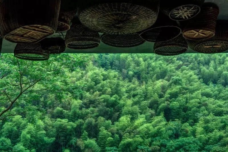 臺州臨?！げ菟蓿亲永锪魈实泥l(xiāng)愁烙印