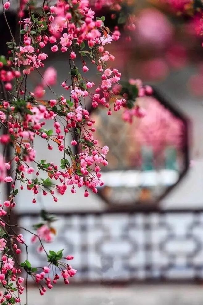 唯美古風(fēng)句子：最美人間四月天