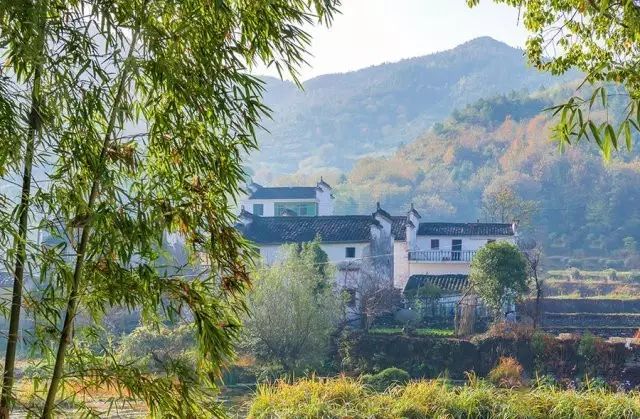 唯美古風句子：最美人間四月天