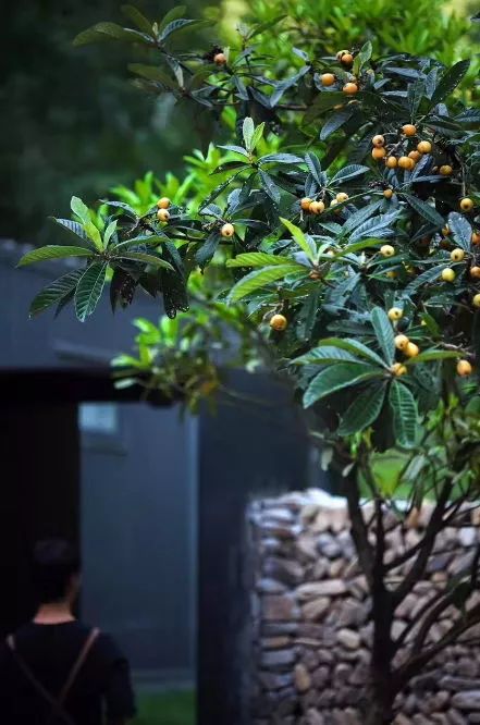 桐廬·水喜，太陽東升西落便是一天的標記