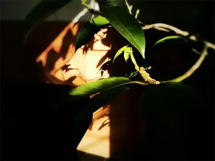 桐廬·水喜，太陽東升西落便是一天的標記