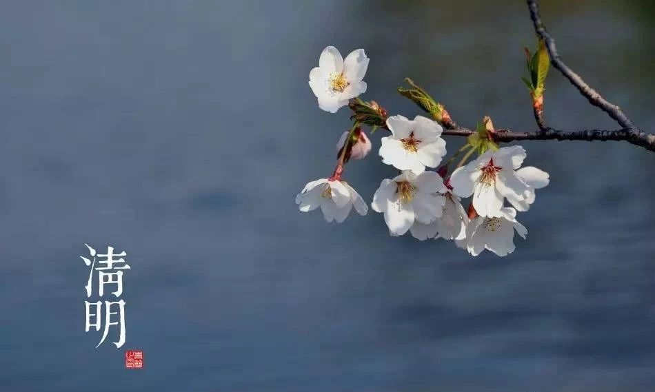 唯美古風句子：清明古詩38首!