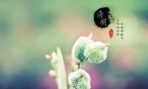 唯美古風句子：清明古詩38首!