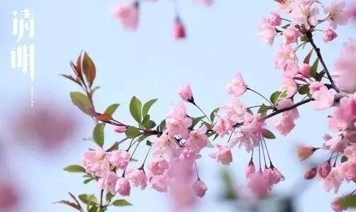 唯美古風句子：清明古詩38首!