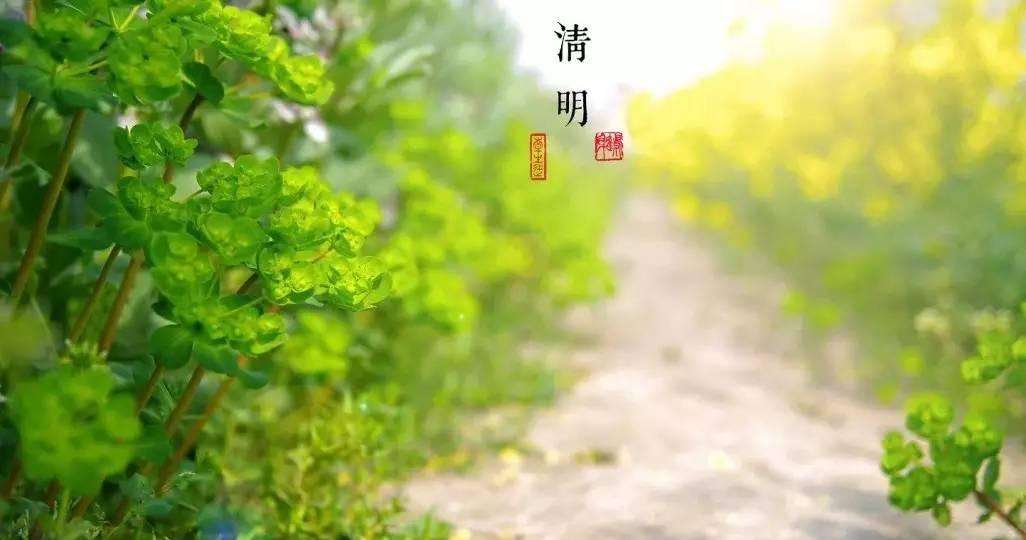 唯美古風句子：清明古詩38首!