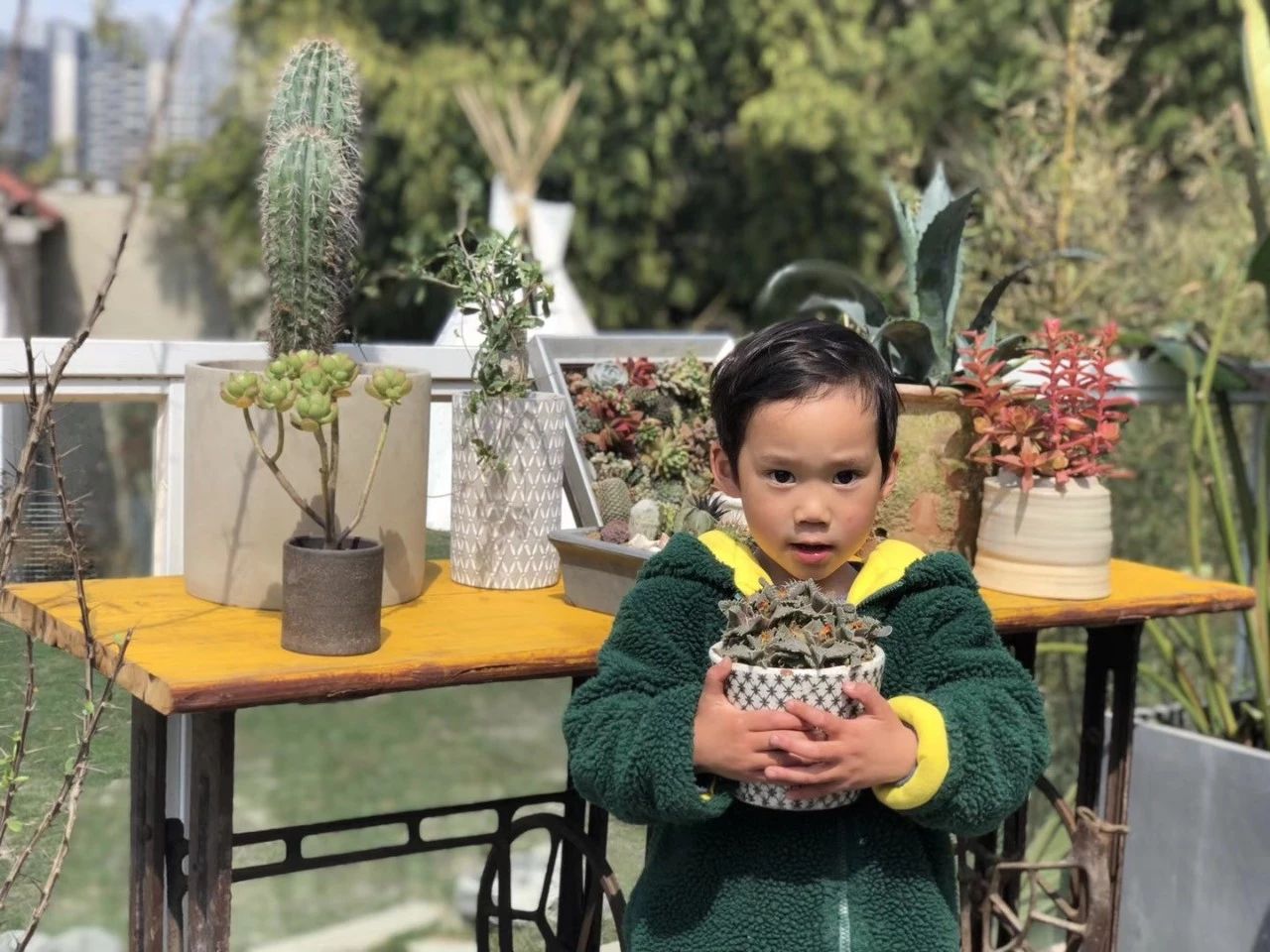 成都·親家Dear Home，生活平淡如水自在歡喜