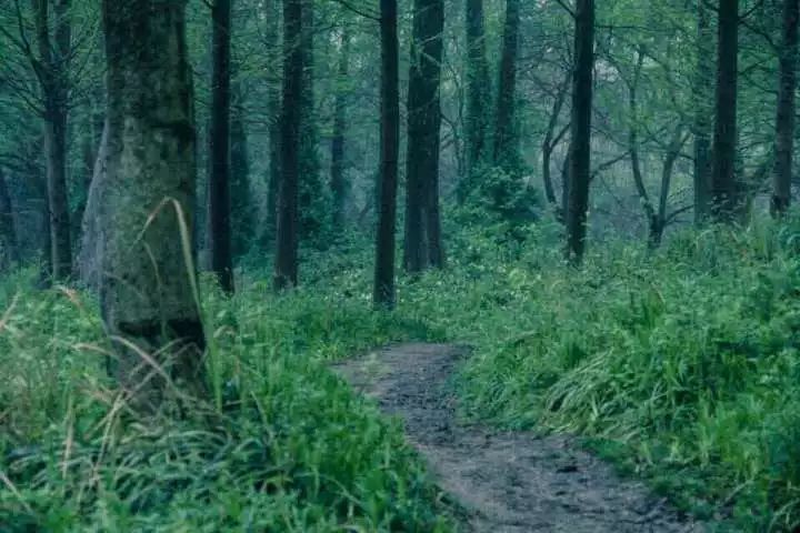 杭州西溪·素上藝術(shù)酒店，春天最美好的奇遇