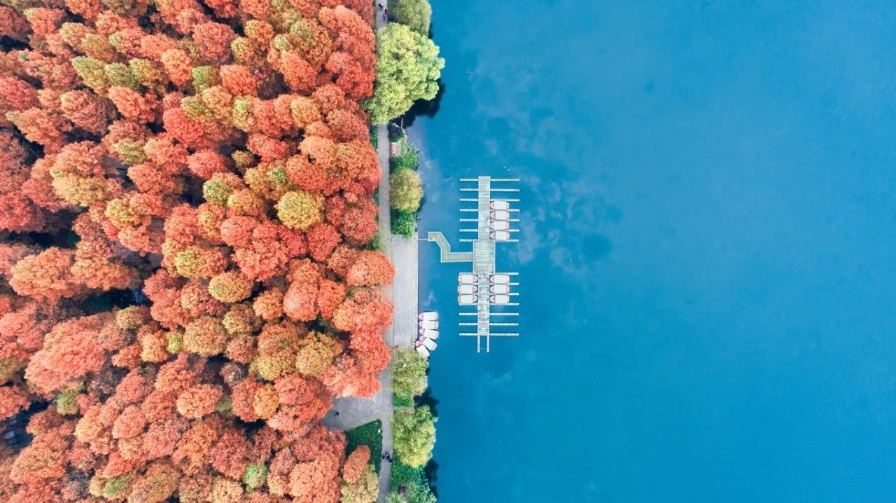 杭州西溪·素上藝術(shù)酒店，春天最美好的奇遇