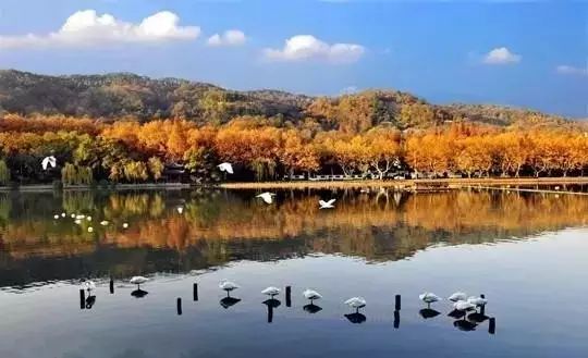 杭州西溪·素上藝術(shù)酒店，春天最美好的奇遇