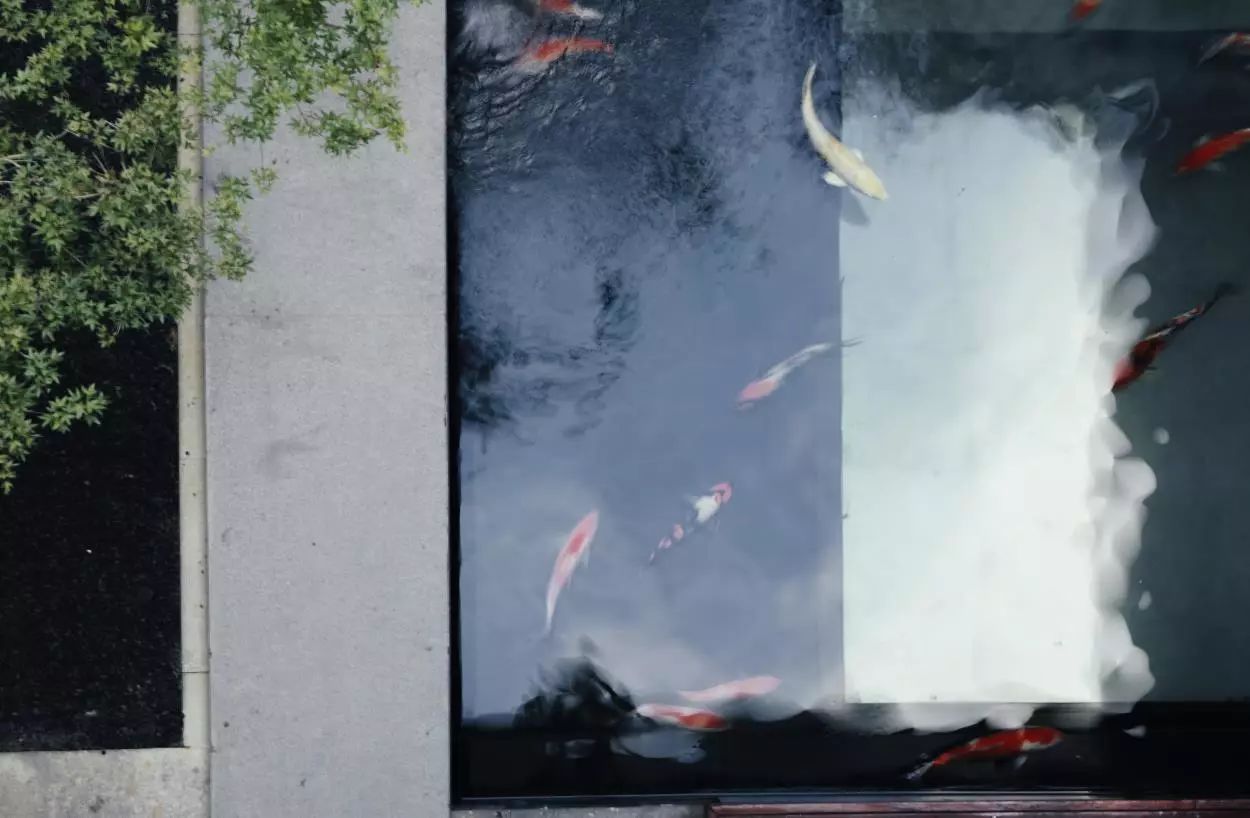 杭州西溪·素上藝術(shù)酒店，春天最美好的奇遇