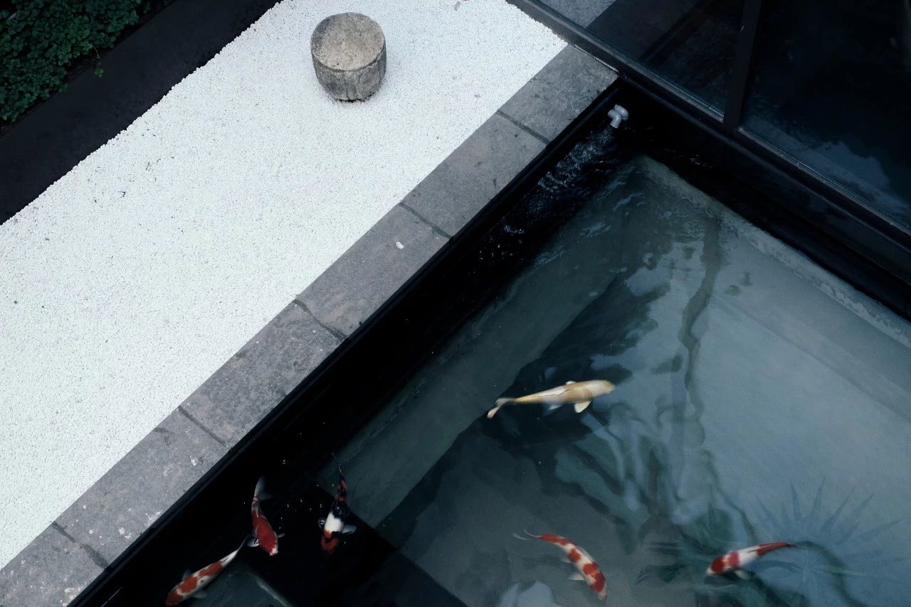 杭州西溪·素上藝術(shù)酒店，春天最美好的奇遇