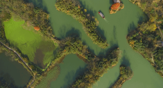 杭州西溪·素上藝術(shù)酒店，春天最美好的奇遇