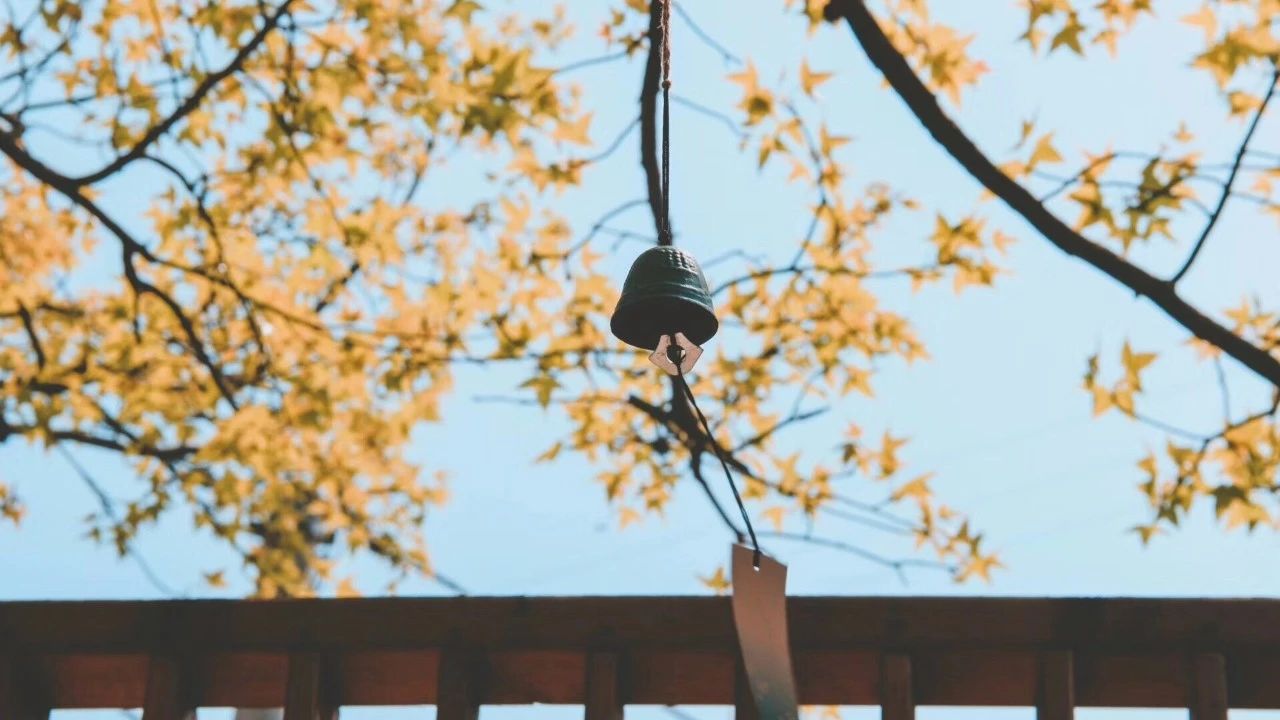 青田坐忘閣·藏書閣民宿，找回初心尋找回家的路