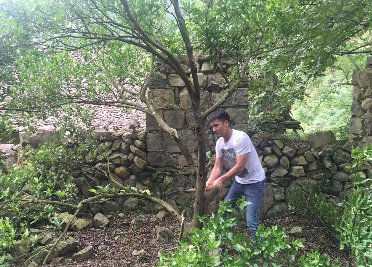 青田坐忘閣·藏書閣民宿，找回初心尋找回家的路