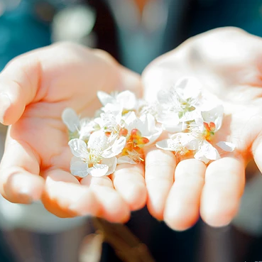 花開(kāi)半夏女生頭像，唯美古風(fēng)真人頭像