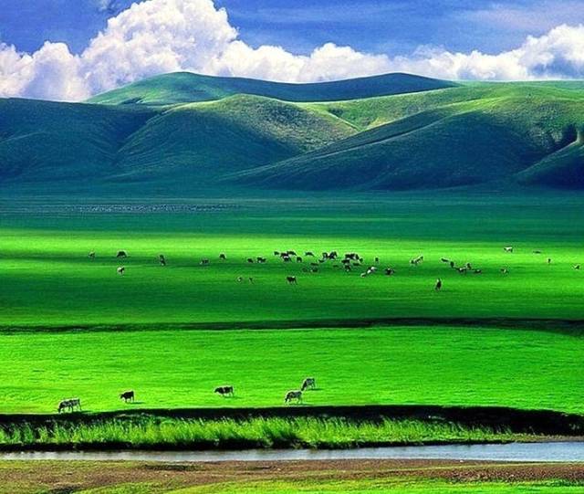 如詩如畫的草原意境，唯美風景圖片！