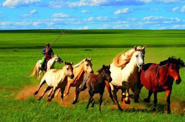 如詩如畫的草原意境，唯美風景圖片！