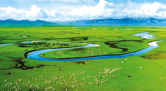 如詩如畫的草原意境，唯美風(fēng)景圖片！