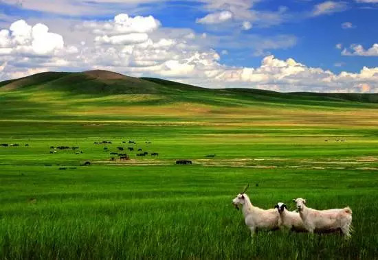 如詩(shī)如畫(huà)的草原意境，唯美風(fēng)景圖片！