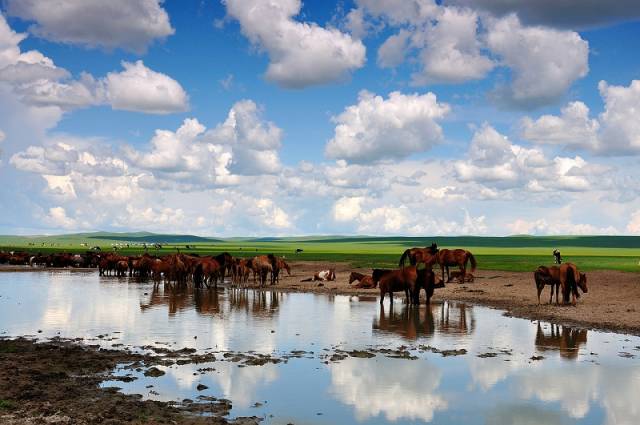 如詩如畫的草原意境，唯美風(fēng)景圖片！