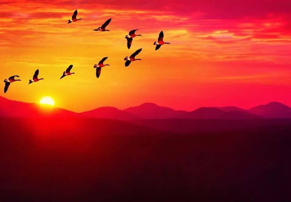 如詩如畫的草原意境，唯美風景圖片！