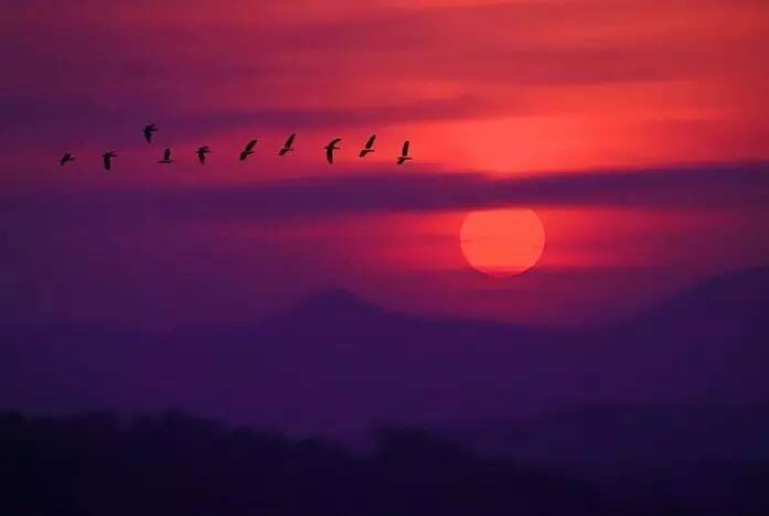 如詩如畫的草原意境，唯美風景圖片！