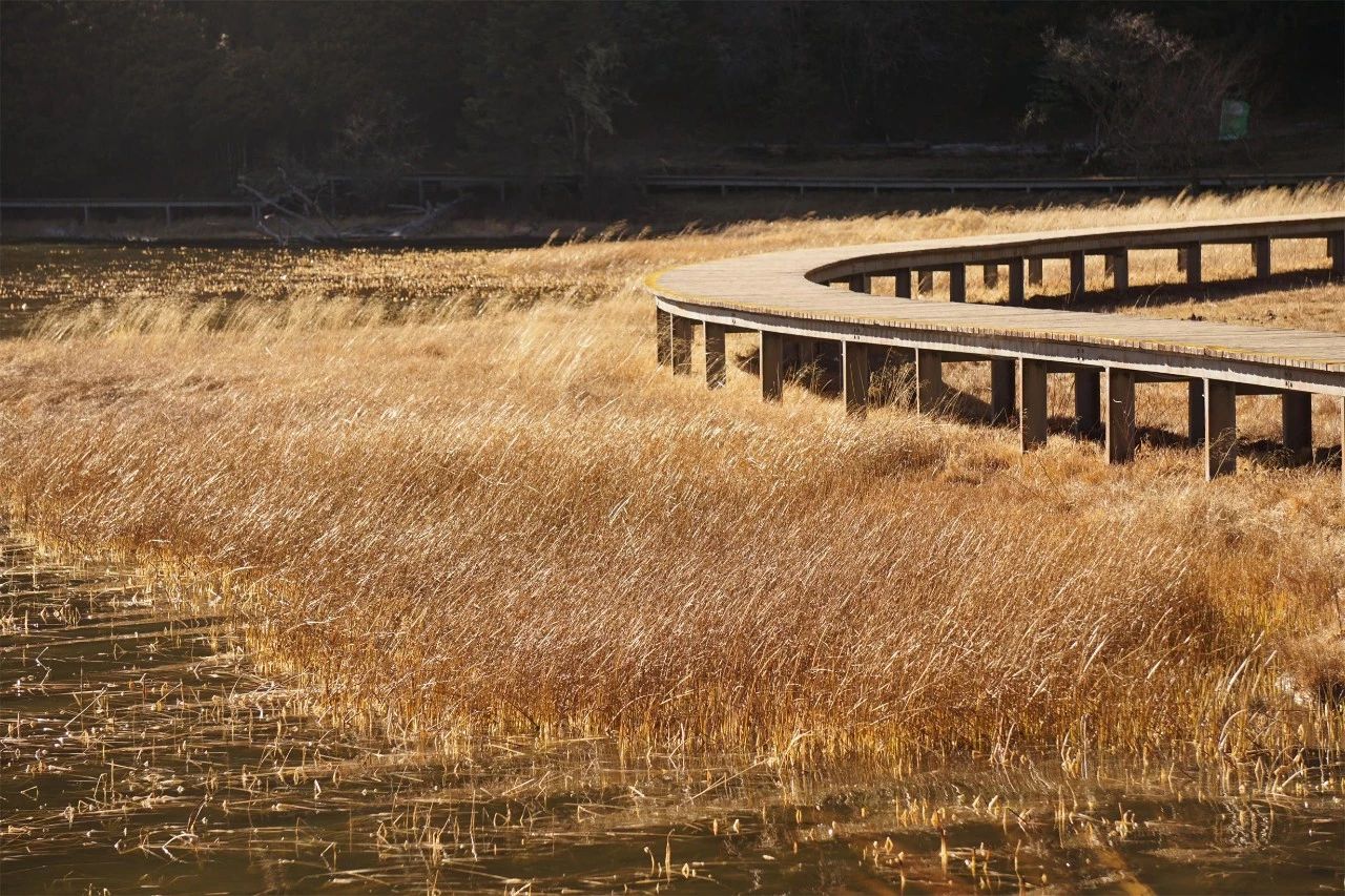 香格里拉·桔子水晶酒店，堅持內(nèi)心最重要