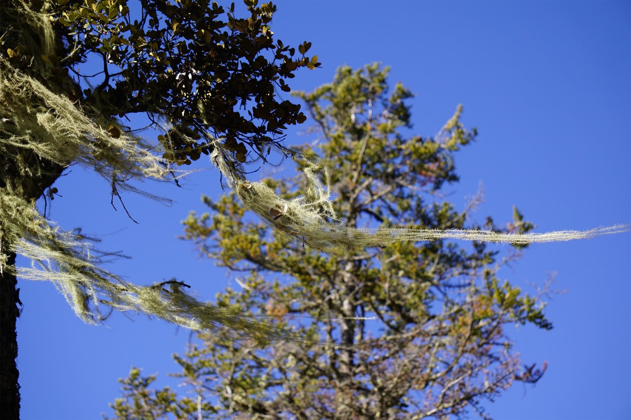 香格里拉·桔子水晶酒店，堅持內(nèi)心最重要