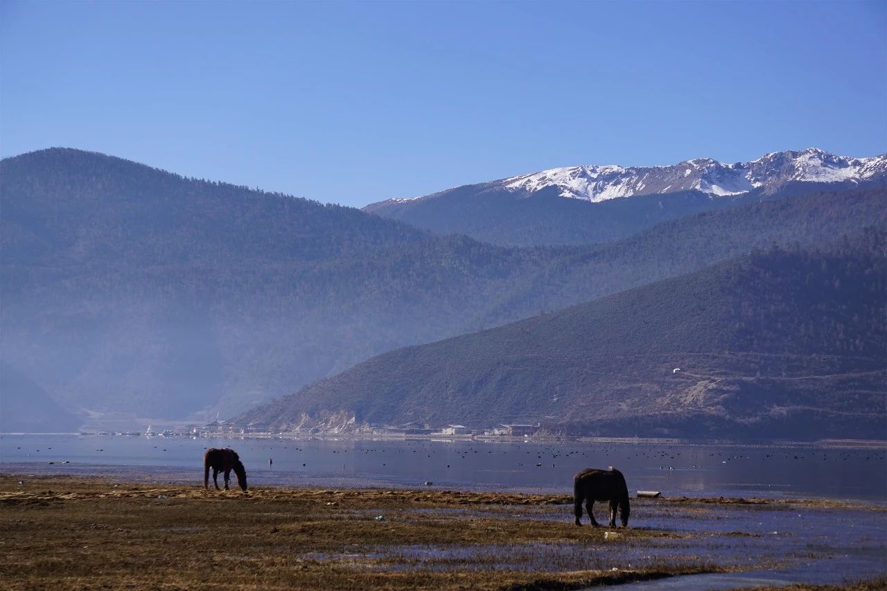 香格里拉·桔子水晶酒店，堅持內心最重要
