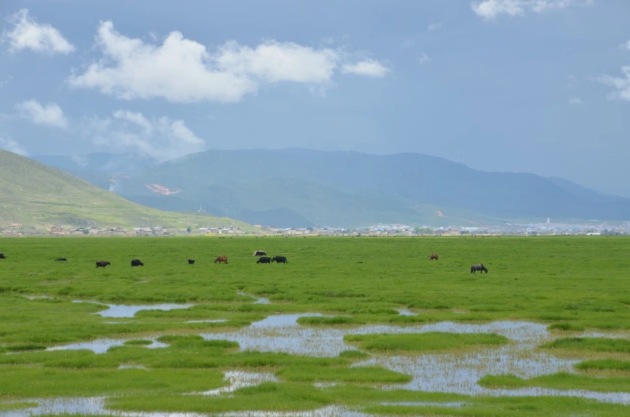 香格里拉·桔子水晶酒店，堅(jiān)持內(nèi)心最重要