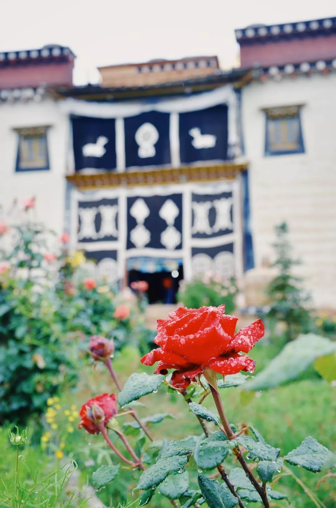 香格里拉·桔子水晶酒店，堅(jiān)持內(nèi)心最重要