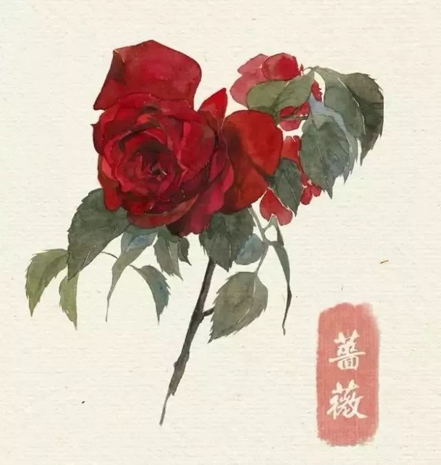 40款絕美水彩花卉手繪插畫(huà)賞析