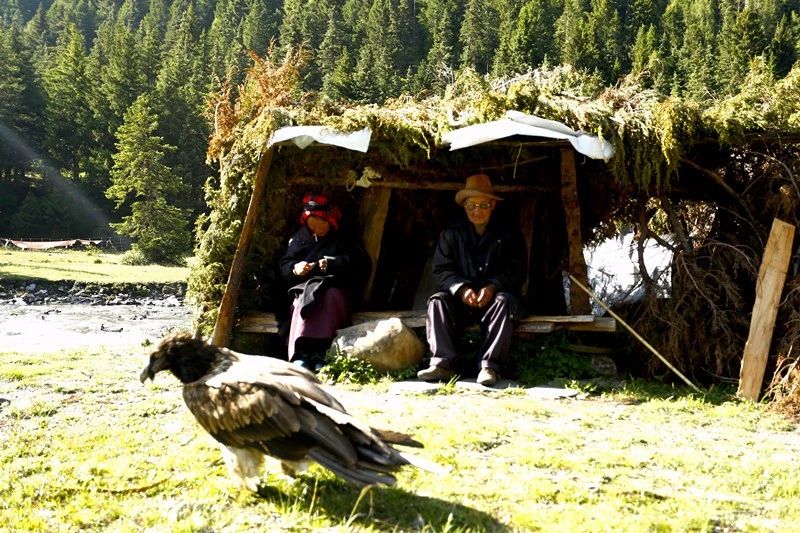 光和云朵·雪寶頂，喂馬劈柴看盡四季繁華