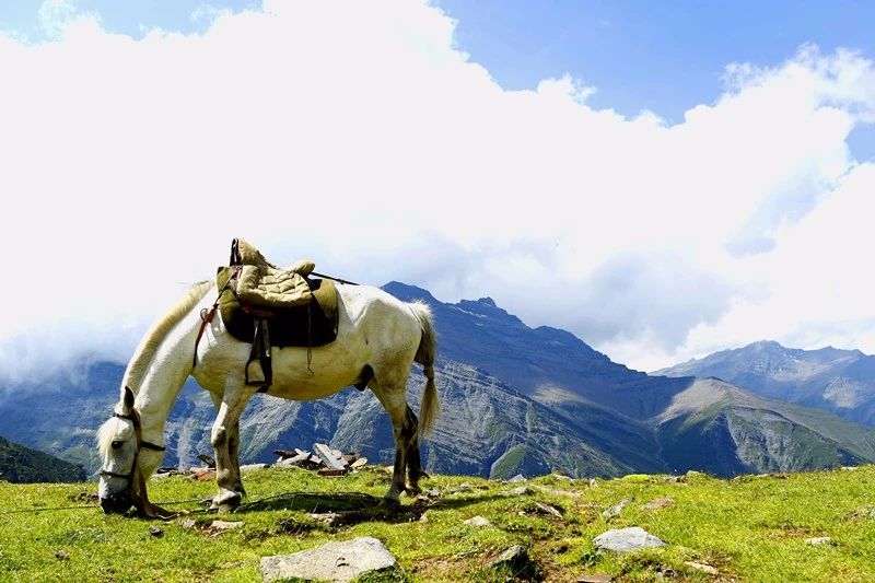 光和云朵·雪寶頂，喂馬劈柴看盡四季繁華