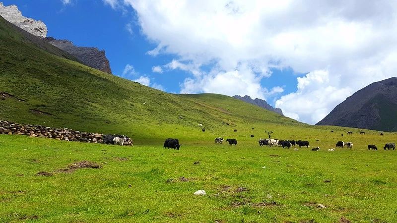 光和云朵·雪寶頂，喂馬劈柴看盡四季繁華
