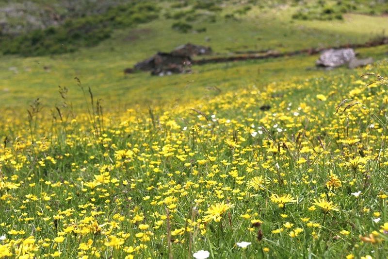 光和云朵·雪寶頂，喂馬劈柴看盡四季繁華