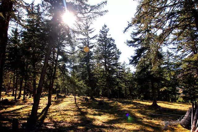 光和云朵·雪寶頂，喂馬劈柴看盡四季繁華