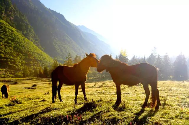光和云朵·雪寶頂，喂馬劈柴看盡四季繁華