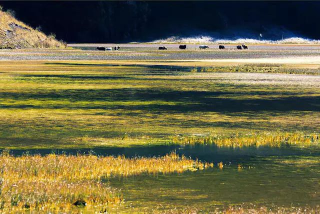 光和云朵·雪寶頂，喂馬劈柴看盡四季繁華