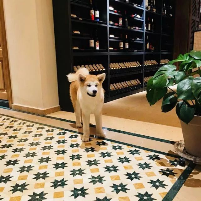 莫干山·梵谷，回歸自然的日子才是最難得