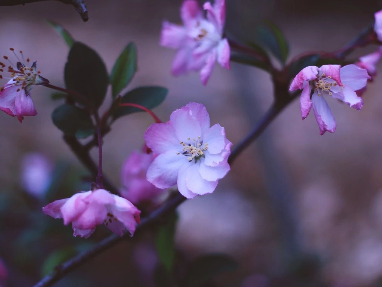莫干山·梵谷，回歸自然的日子才是最難得