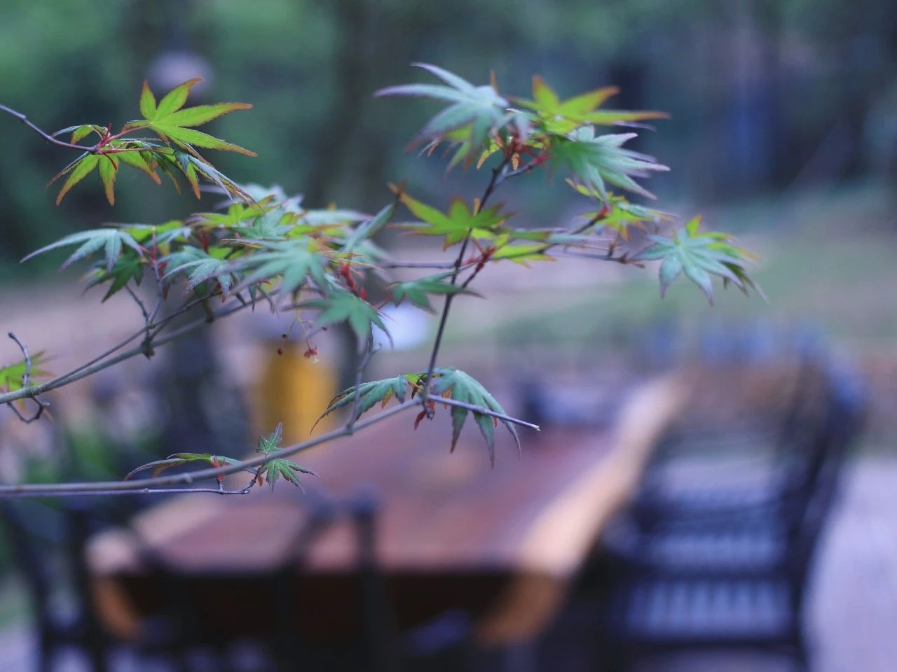 莫干山·梵谷，回歸自然的日子才是最難得