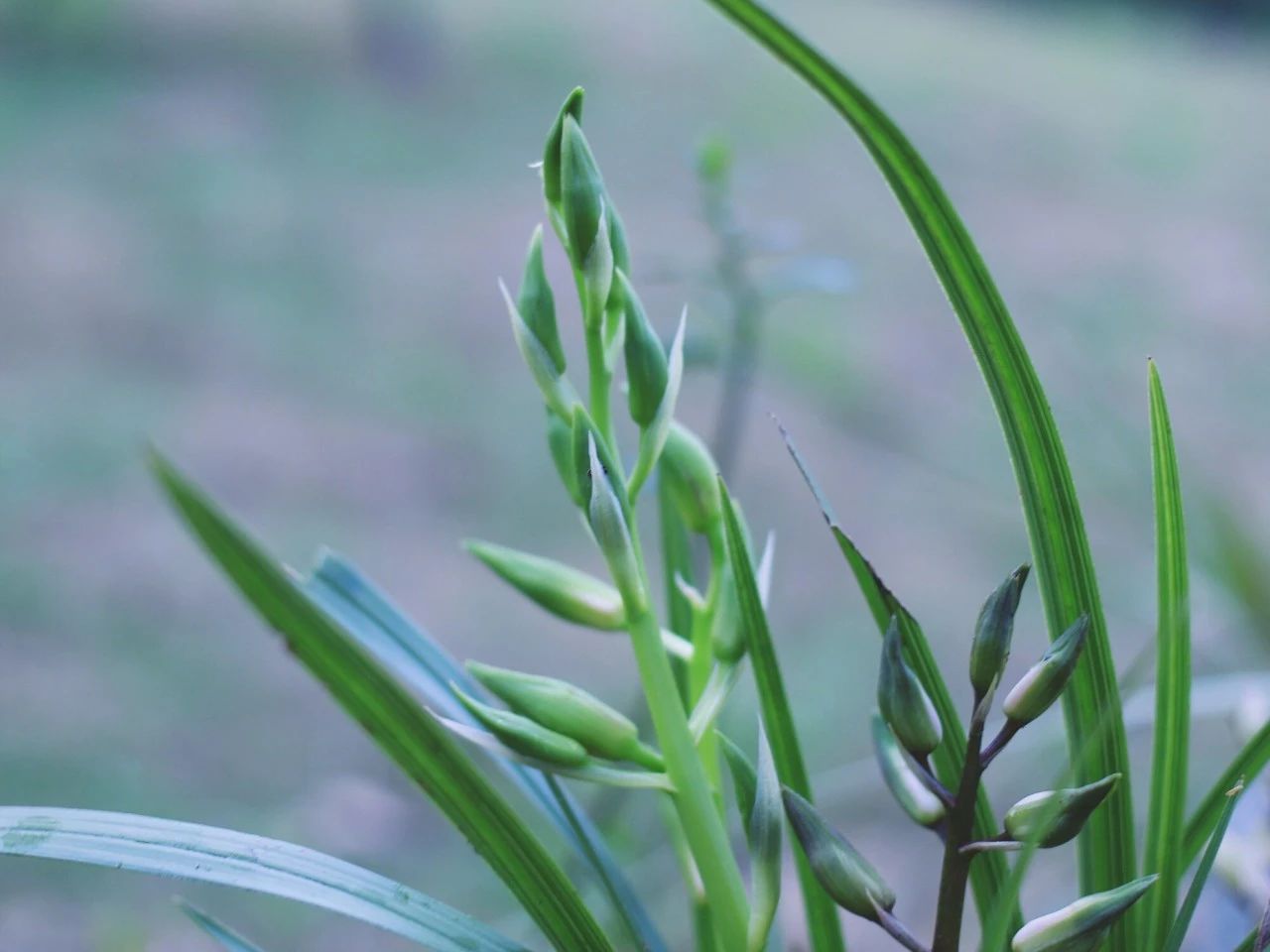 莫干山·梵谷，回歸自然的日子才是最難得
