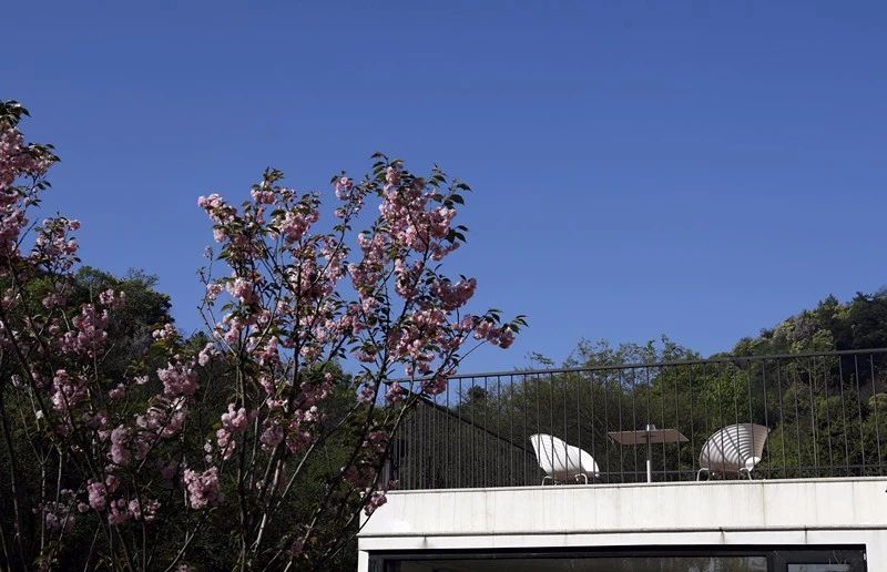 莫干山·梵谷，回歸自然的日子才是最難得