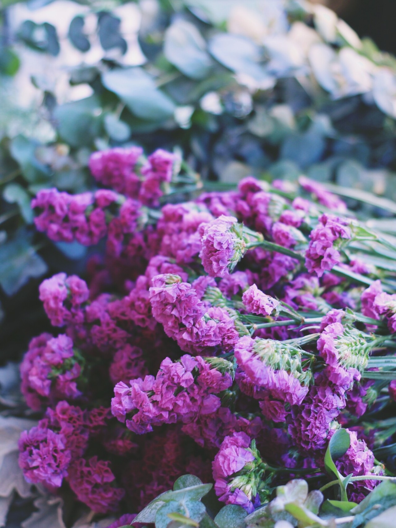 莫干山·梵谷，回歸自然的日子才是最難得