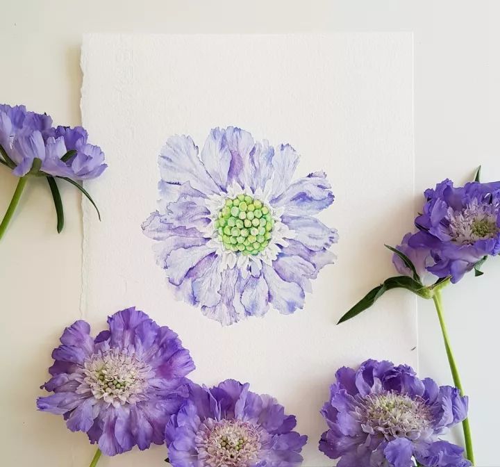 四季水彩花卉插畫，驚艷唯美!