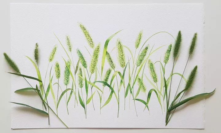 四季水彩花卉插畫，驚艷唯美!