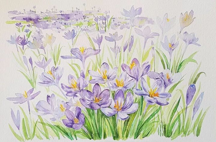 四季水彩花卉插畫，驚艷唯美!