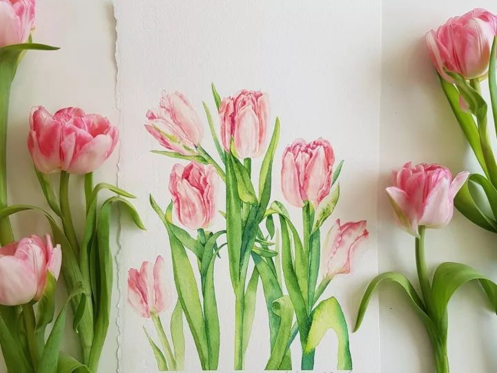 四季水彩花卉插畫，驚艷唯美!